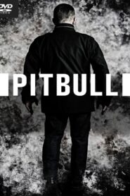 Pitbull